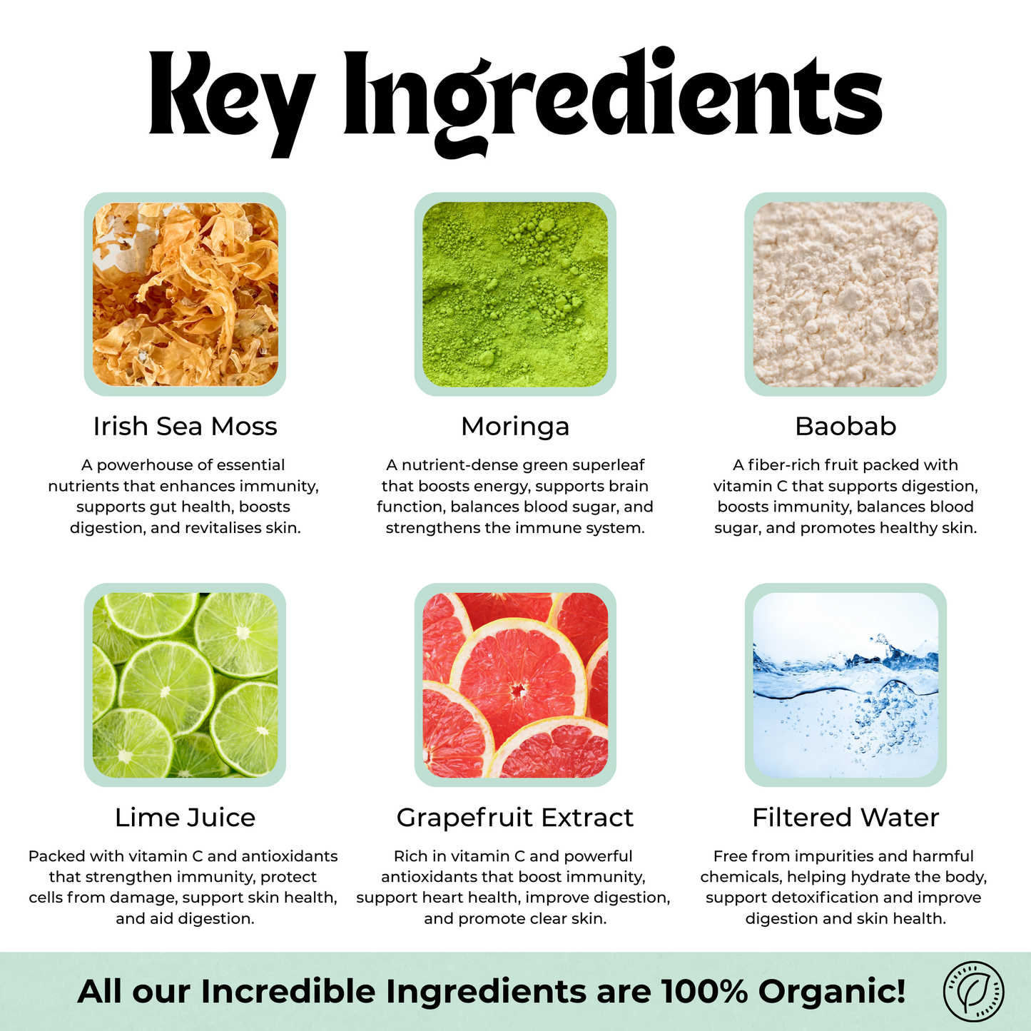 The Moringa Moss 500ml