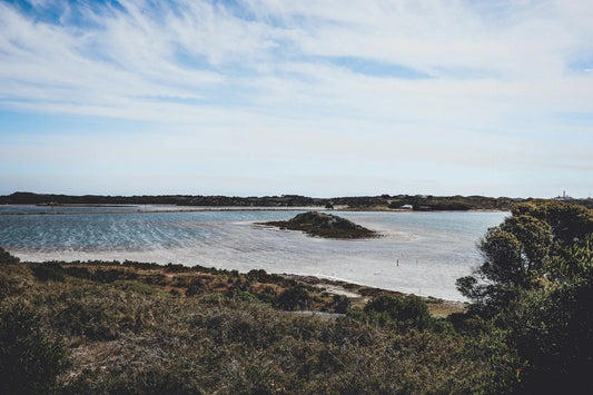 Debunking Common Myths About Irish Sea Moss: Why Is It a Legit Superfood?