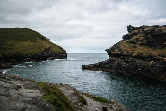 From Ocean to Your Plate: How Is Irish Sea Moss Born?