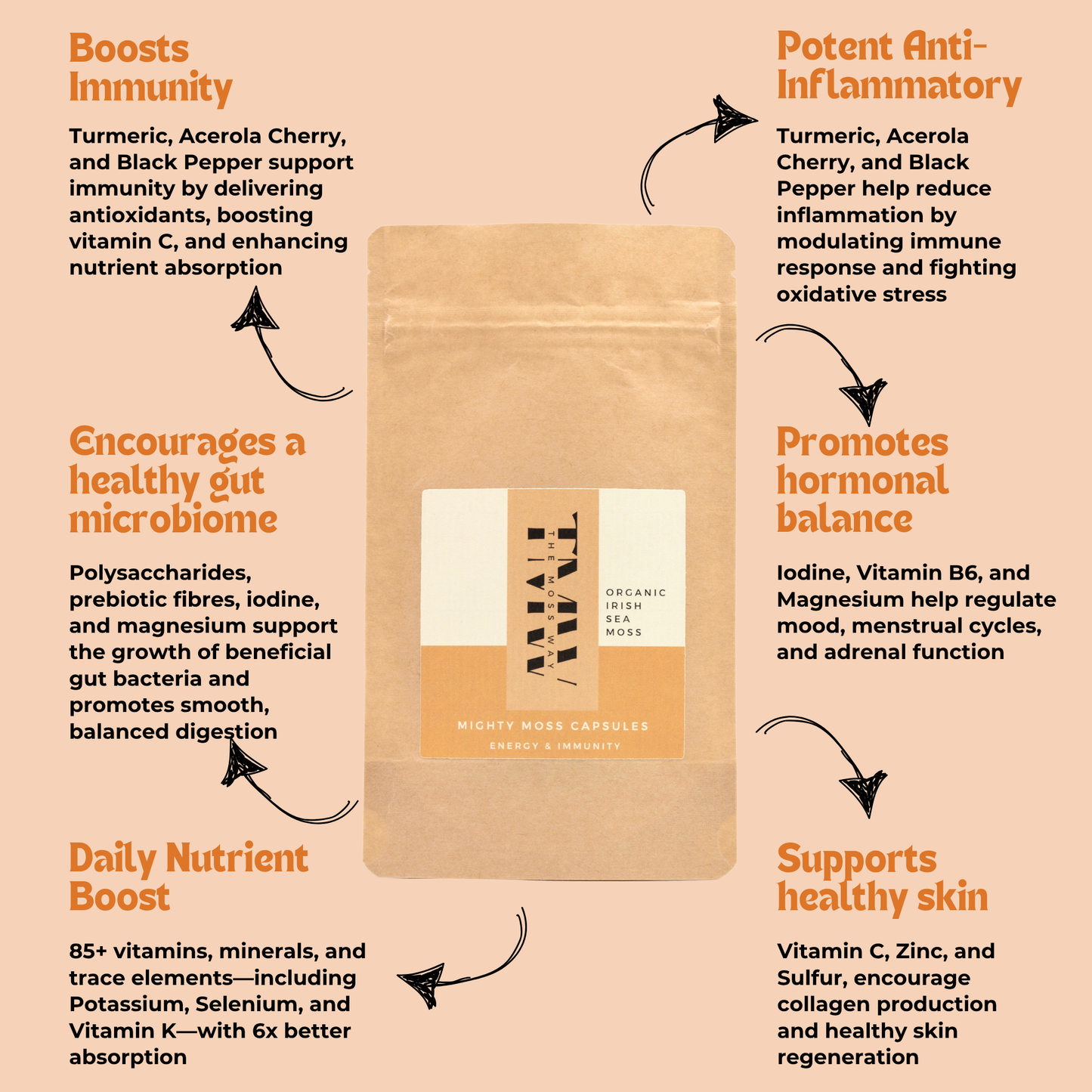 The Complete Starter Bundle