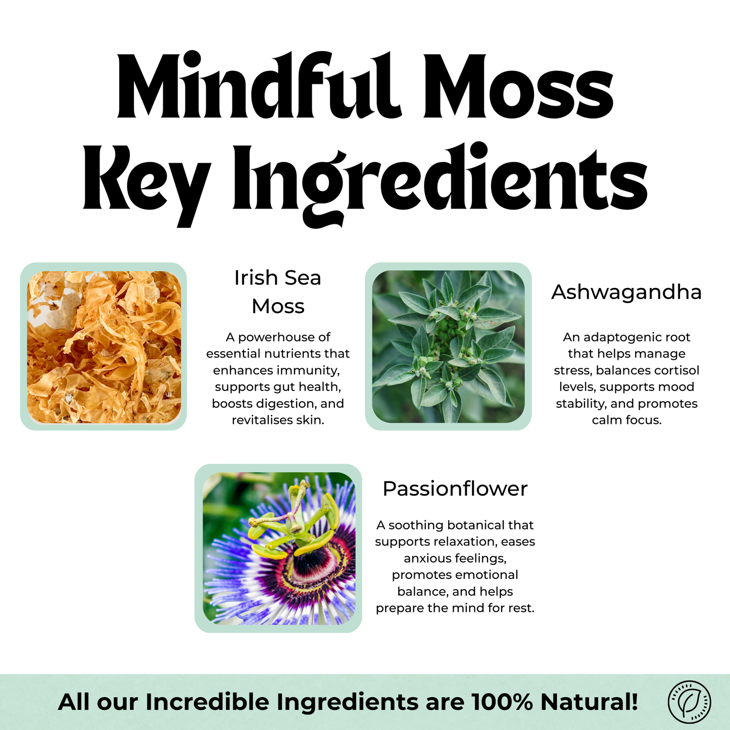 Mindful Moss Capsules (Stress Support)