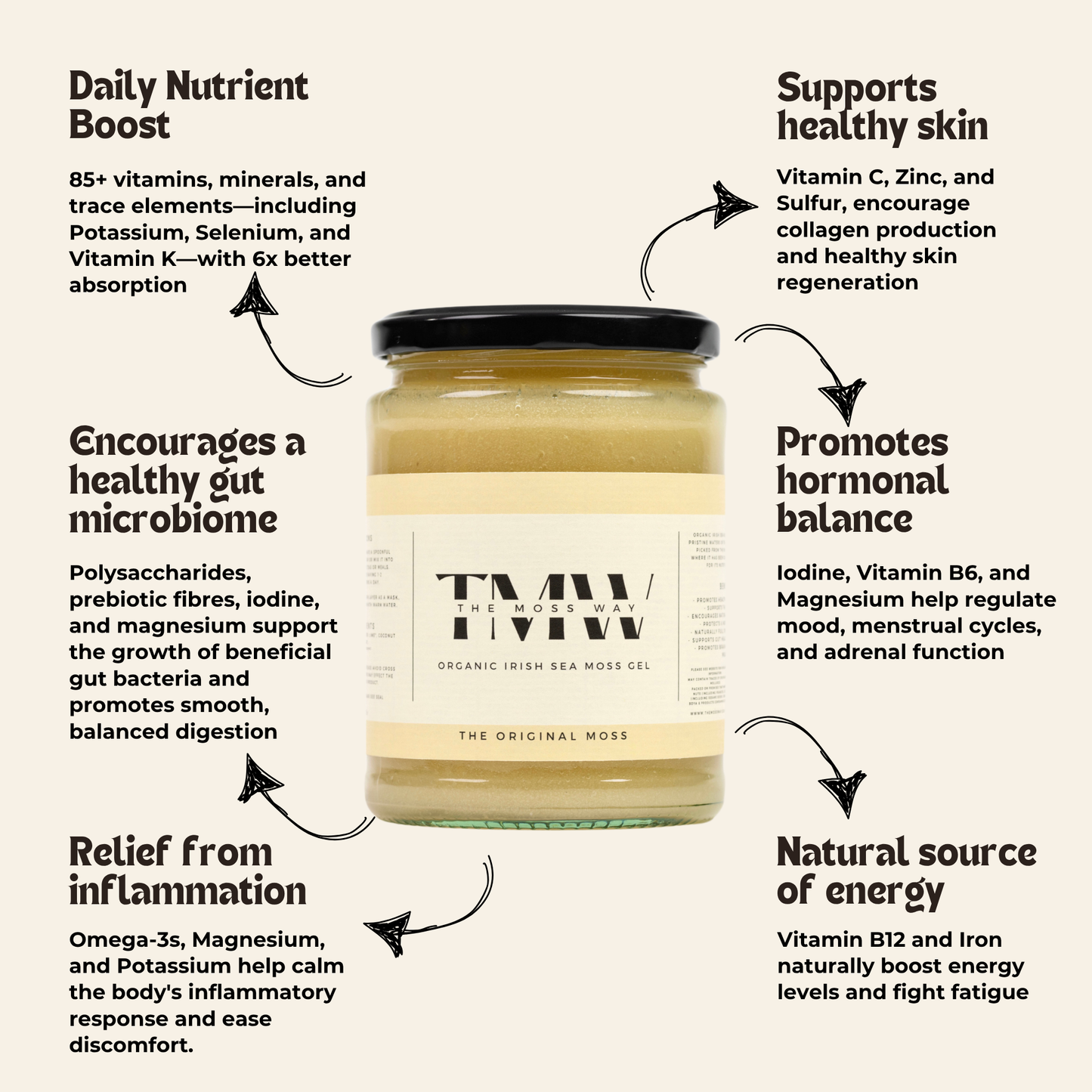 The Complete Starter Bundle