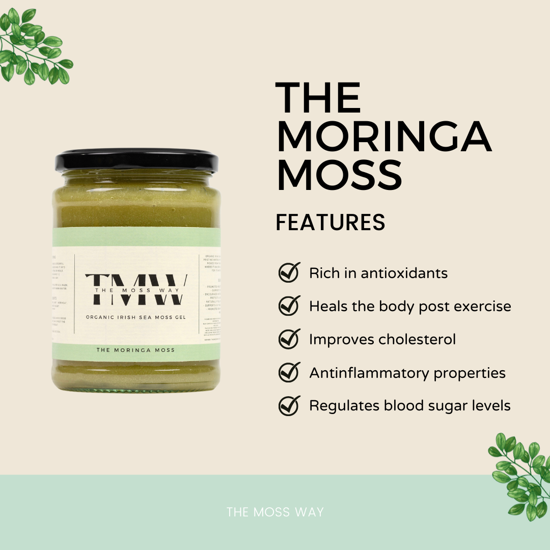 Large Moss Gel Jars | Sea Moss Gel Jars | The Moss Way